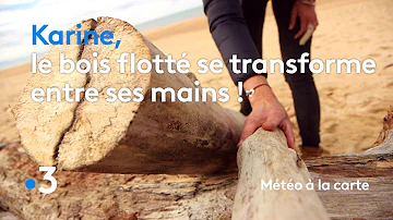 Où trouver du bois flotté ?