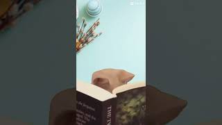 Cat reading a book be like #trend #funny #meme #animals #loveit #animalsmemes #catmeme #pinkagames