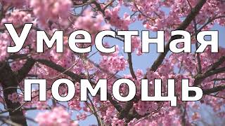 УМЕСТНАЯ ПОМОЩЬ