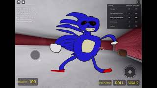 Sonic chase challenge!?