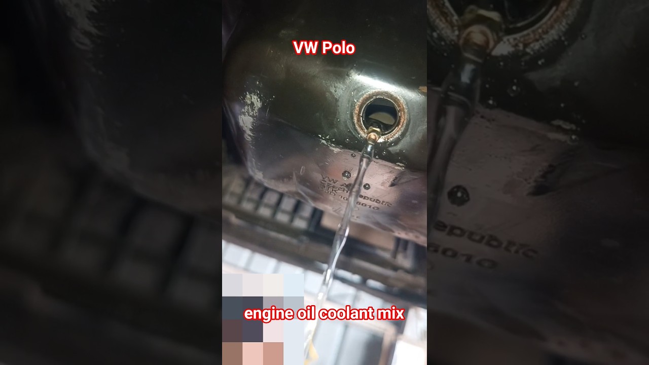 Volkswagen Polo engine oil coolant mix#