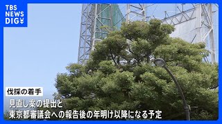 東京・明治神宮外苑の再開発　樹木の伐採を年明けに延期｜TBS NEWS DIG