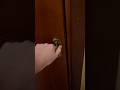 La BAMBOLA DI SQUID GAME MI FA SPAVENTARE ALLE 3 DI NOTTE!! #giox97 #shorts #squidgame #horror