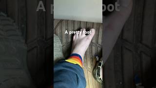 A Pretty Distraction