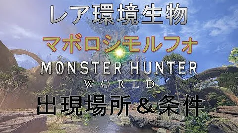 マボロシモルフォ 場所
