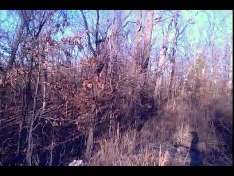 Pomme De Terre Lake Homes For Sale With Dock