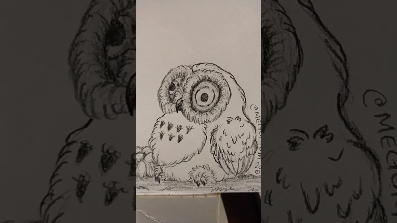 sweet owl boi