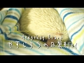 アルビノハリネズミがずーーーーっと寝てる動画!!　Sleeping albinohedgehog!!《 Hedgehog diary やすじろうの日常#102 》