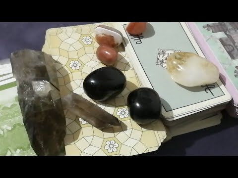 Tarot En Vivo 8 De Noviembre