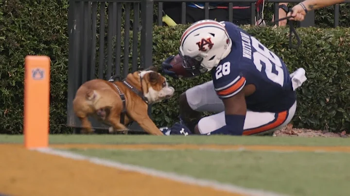 Auburns Boobee Whitlow collides with Mississippi S...