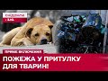 СУЦІЛЬНЕ ЗГАРИЩЕ! В Ірпені сталася пожежа у притулку для тварин!