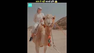 Camel Hump Secret 😱