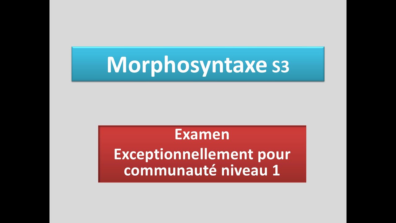 Examen morphosyntaxe s3