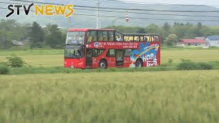 【風を感じながら】夏のニセコを走る屋根がない観光バス「スカイバスニセコ」を運行
