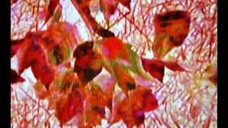 20151111_AVSynth07