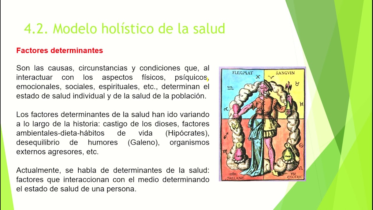 Arriba 55+ imagen modelo de salud holistica