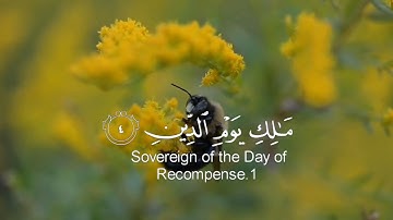 قرآن كريم سورة الفاتحة (كاملة) .القارئ طارق محمد