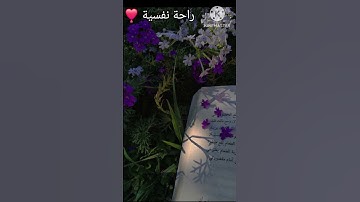#اسلام_صبحي #قران_كريم #اكسبلور #العيد #تلاوة_خاشعة #حالات_واتس #قرآن #راحة_نفسية #لايك #shortvideo