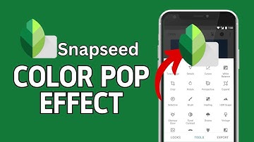 How to Do Color Pop in Snapseed 2024?
