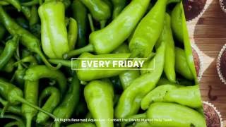Cook With Us - Cooking TV Show Package | After Efects Project Files Cook With Us - Cooking TV Show Package | After Efects Project Files