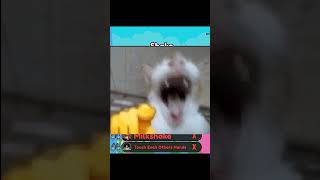Funniest Roblox Spelling Bee #roblox #diamondplaybutton