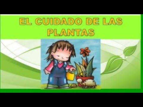 ✨ CUIDADO DE LAS PLANTAS ✨ EXPLICACIÓN PARA NIÑOS - YouTube