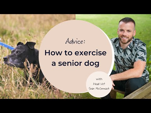 Video: Kā maigi izstiepj var palīdzēt jūsu vecākajam sunim palikt vairāk ierobežojošs