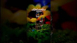 Surah Fajar Verses 21-30 Only Urdu Translation Shorts Clip ||#quran #hajj#islam #hajj2026