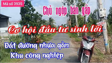 Đất mặt tiền đường nhựa, đầu tư sinh lời gần Khu công nghiệp Tân Hương, sổ hồng riêng - MS 3935