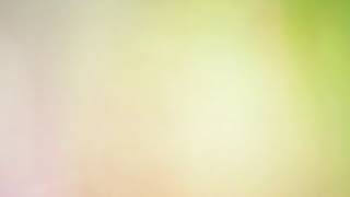 Light Leaks Element 105
