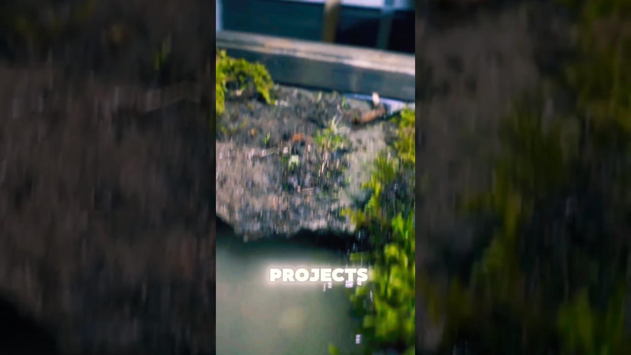 Woodworking Projects That Make Money Fast 