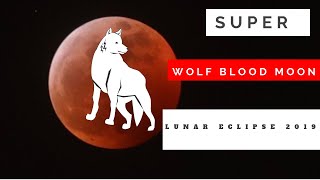 Super Wolf Blood Moon TOTAL LUNAR ECLIPSE 2019 - Los Angeles