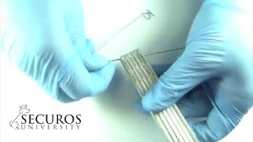 Securos University Tips & Tricks:  Plate Stringer