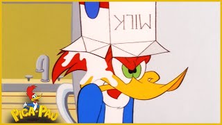 Pau em Português | Barata Mais Amiga | Episódio Completo de Pica-Pau | Desenhos Animados