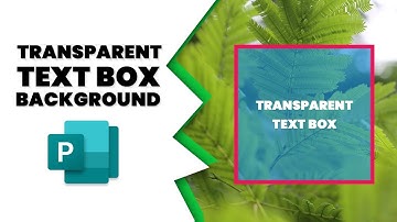 How to make a text box background transparent in publisher