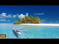 Ocean nature 4k  scenic relaxation film with calming music