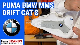 puma bmw cat