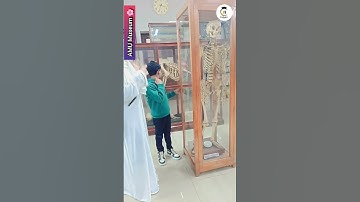 AMU Museum #amu #AMU Campus #study #drawing #tgtkala #tgt #arteducator #art #viralvideo #viralshort