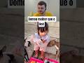Domou melhor que o Noé