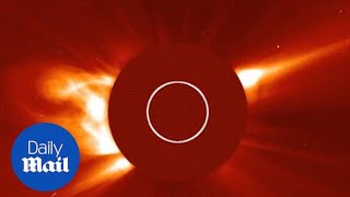 The moment a Kreutz sungrazing comet plunges into the sun - Daily Mail