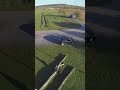 "Schwebe nicht, fliege!" Tiny Whoop Freestyle 🎮🥽🛸💯🫶 #fpv #fpvdrone #fly #drone