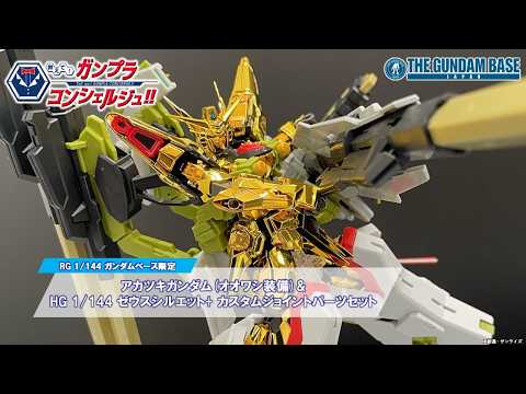 RG 1/144 THE GUNDAM BASE LIMITED AKATSUKI GUNDAM (OOWASHI PACK