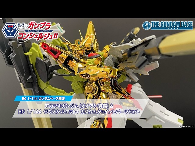 RG 1/144 THE GUNDAM BASE LIMITED AKATSUKI GUNDAM (OOWASHI PACK