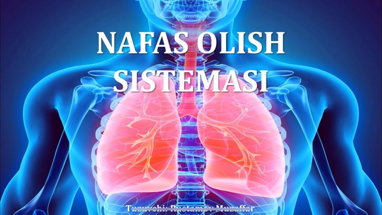 8-sinf darsligi. 23-25-mavzular(Nafas olish sistemasi).