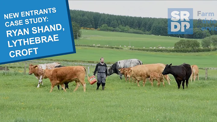 New Entrants case study - Ryan Shand, Lythebrae Cr...