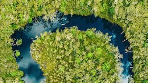 Discover the Noosa Everglades ✨🍃