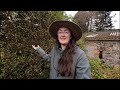 Signs of spring  chatting with you  life in scotland vlog