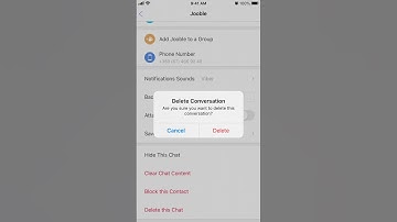 How to DELETE A CHAT in VIBER?