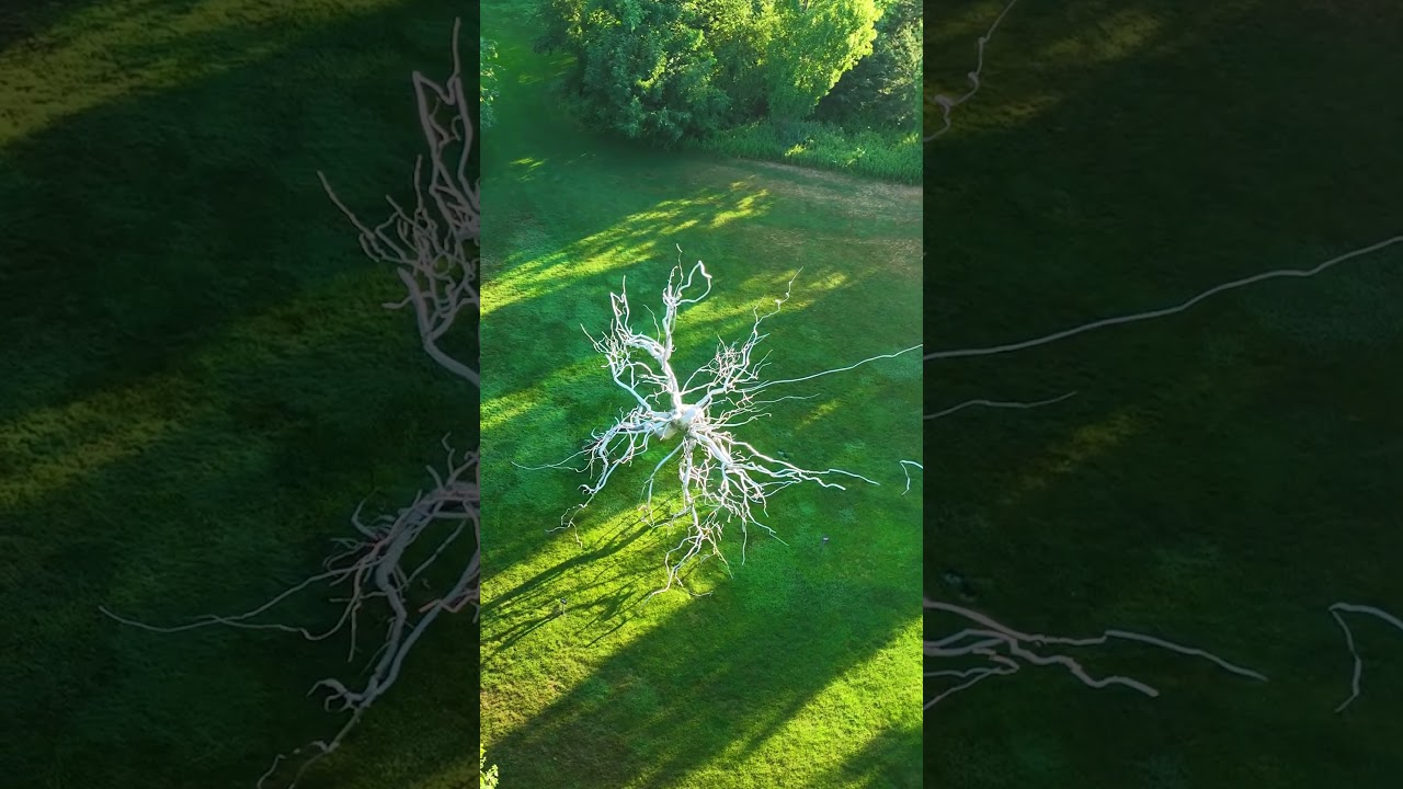 Cruise Excursions: Meijer Botanical Gardens & Sculpture Park Exploration | American Cruise Lines