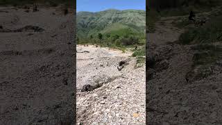 #viral #viralshort #viralshorts #offroad #nature #adventure #albania #viralvideo #viralvideos